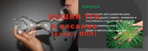 гашик Алексеевка