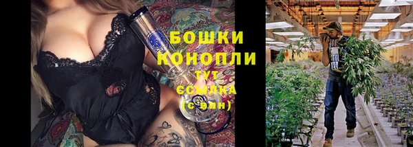 гашик Алексеевка